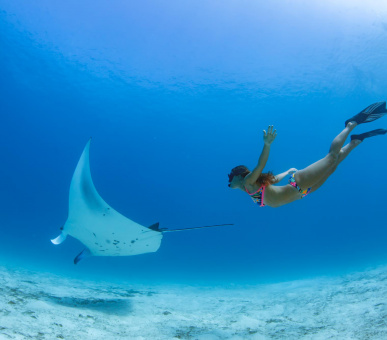 Картинка Emerald Maldives Resort 19 Фото Emerald Maldives Resort 19