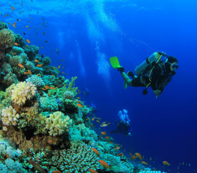 Картинка Emerald Maldives Resort 35 Фото Emerald Maldives Resort 35