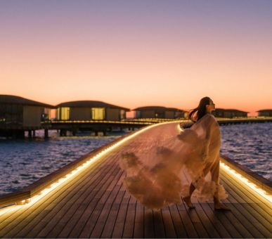 Картинка 3 Фото 3