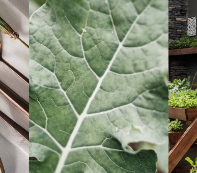 Картинка One 20 Фото One 20