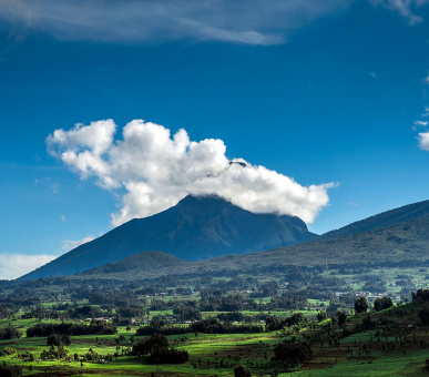 Картинка One 25 Фото One 25