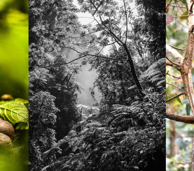 Картинка One 19 Фото One 19