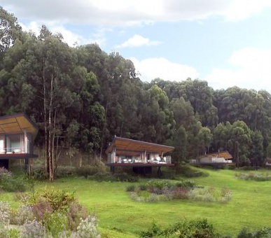 Картинка One 16 Фото One 16