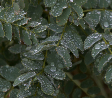 Картинка One 28 Фото One 28