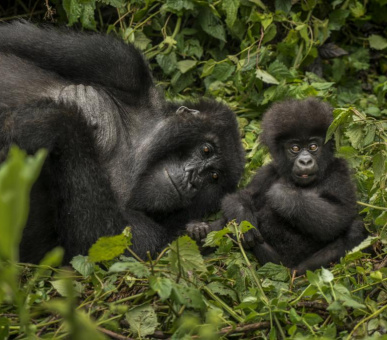 Картинка One 2 Фото One 2