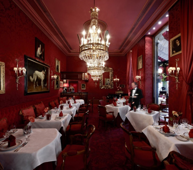 Картинка Hotel Sacher Wien (Австрия, Вена) 25 Фото Hotel Sacher Wien (Австрия, Вена) 25