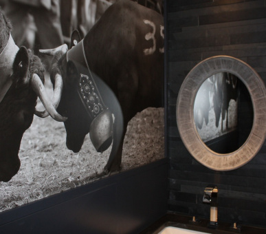 Картинка Chalet Spa Piste Rouge (Швейцария, Вербье) 19 Фото Chalet Spa Piste Rouge (Швейцария, Вербье) 19