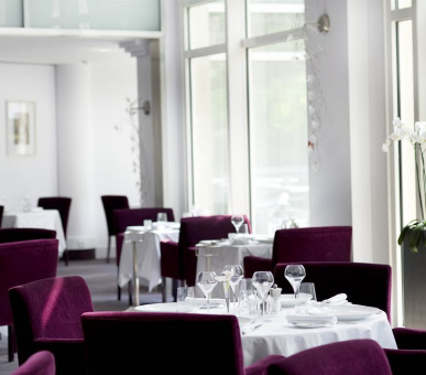 Фото Vichy Celestins Spa Hotel 9