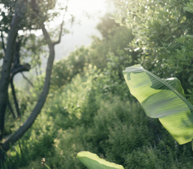 Картинка Lefay Resort 38 Фото Lefay Resort 38