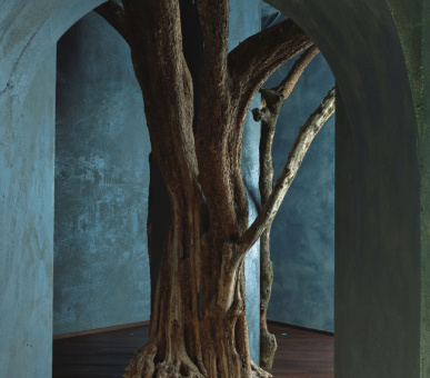 Картинка Lefay Resort 39 Фото Lefay Resort 39