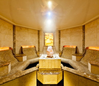 Фото Le Grand Bellevue (Швейцария, Гштаад) 43