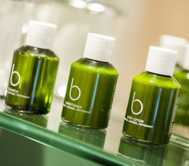 Фото Le Grand Bellevue (Швейцария, Гштаад) 20