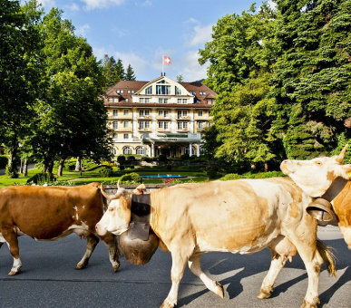 Фото Le Grand Bellevue (Швейцария, Гштаад) 2