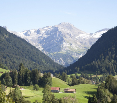 Фото Grand Hotel Park (Швейцария, Гштаад) 55