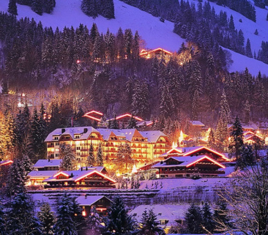 Фото Grand Hotel Park (Швейцария, Гштаад) 36