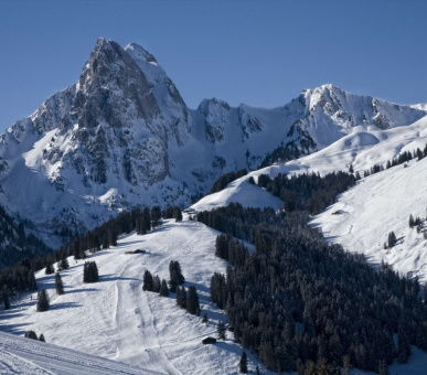 Фото Grand Hotel Park (Швейцария, Гштаад) 75