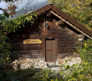 Фото Grand Hotel Park (Швейцария, Гштаад) 74