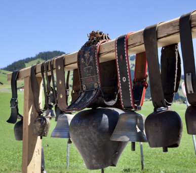 Фото Grand Hotel Park (Швейцария, Гштаад) 24