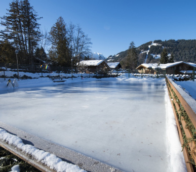Фото Grand Hotel Park (Швейцария, Гштаад) 40