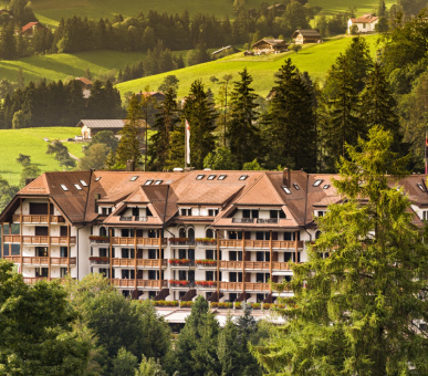 Фото Grand Hotel Park (Швейцария, Гштаад) 1