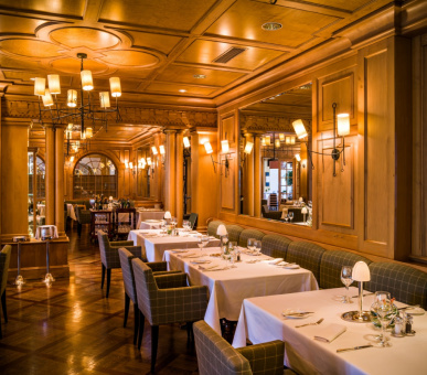 Фото Grand Hotel Park (Швейцария, Гштаад) 62