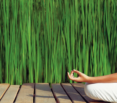 Картинка The Alpina Gstaad (Швейцария, Гштаад) 47 Фото The Alpina Gstaad (Швейцария, Гштаад) 47