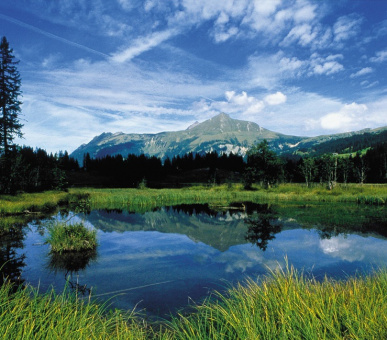 Картинка The Alpina Gstaad (Швейцария, Гштаад) 3 Фото The Alpina Gstaad (Швейцария, Гштаад) 3