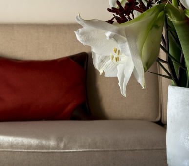 Картинка The Alpina Gstaad (Швейцария, Гштаад) 31 Фото The Alpina Gstaad (Швейцария, Гштаад) 31