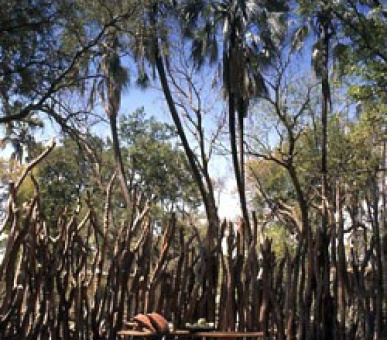 Картинка 1 Фото 1