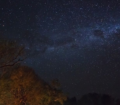 Картинка Belmond Eagle Island Lodge (Ботсвана, Дельта Окаванго и Парк Мореми) 3 Фото Belmond Eagle Island Lodge (Ботсвана, Дельта Окаванго и Парк Мореми) 3