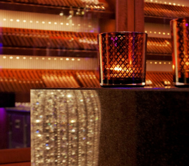 Фото President Wilson (Швейцария, Женева) 29