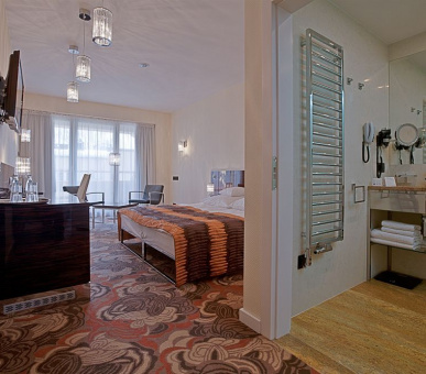 Фото Hotel Rysy (Польша, Закопане) 5