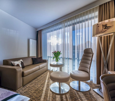 Картинка Rezydencja Nosalowy Dwor (Польша, Закопане) 17 Фото Rezydencja Nosalowy Dwor (Польша, Закопане) 17