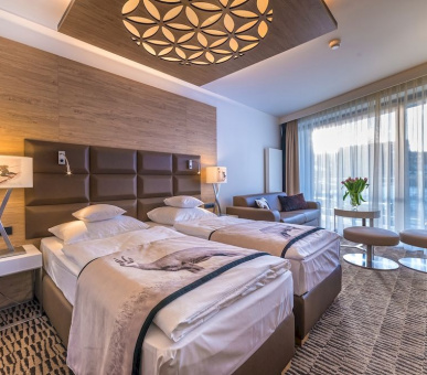 Картинка Rezydencja Nosalowy Dwor (Польша, Закопане) 16 Фото Rezydencja Nosalowy Dwor (Польша, Закопане) 16