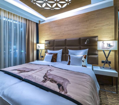 Картинка Rezydencja Nosalowy Dwor (Польша, Закопане) 10 Фото Rezydencja Nosalowy Dwor (Польша, Закопане) 10