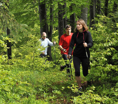 Картинка Interalpen-Hotel Tyrol de Luxe (Австрия, Зеефельд) 48 Фото Interalpen-Hotel Tyrol de Luxe (Австрия, Зеефельд) 48