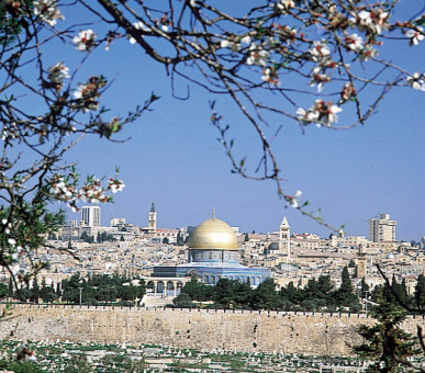 Картинка King David (Израиль, Иерусалим) 9 Фото King David (Израиль, Иерусалим) 9