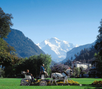 Картинка Victoria-Jungfrau Grand Hotel 49 Фото Victoria-Jungfrau Grand Hotel 49