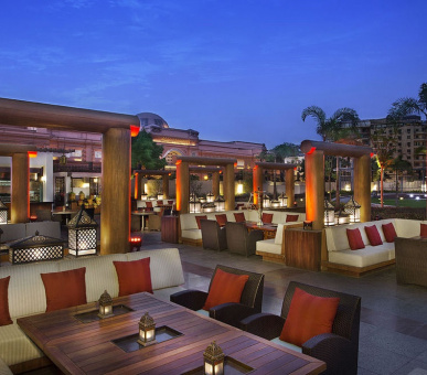 Фото The Nile Ritz-Carlton, Cairo 17