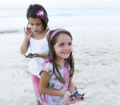 Картинка The Ritz Carlton Cancun (Мексика, Канкун) 14 Фото The Ritz Carlton Cancun (Мексика, Канкун) 14