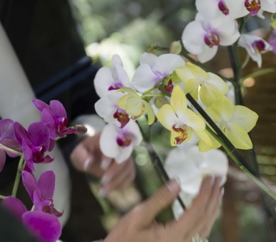 Картинка Grand Hotel Cannes (Франция, Канн) 20 Фото Grand Hotel Cannes (Франция, Канн) 20