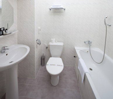 Фото Империал (Чехия, Карловы Вары) 37