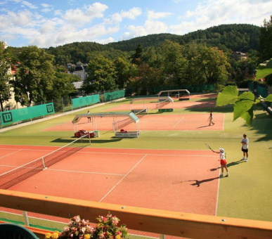 Фото Империал (Чехия, Карловы Вары) 16