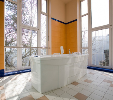 Фото Империал (Чехия, Карловы Вары) 25