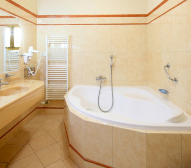 Фото Империал (Чехия, Карловы Вары) 34