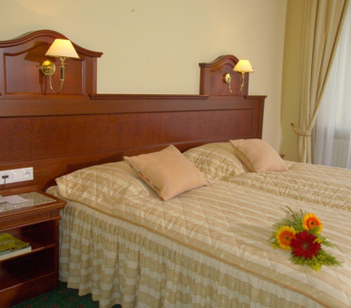 Фото Империал (Чехия, Карловы Вары) 29