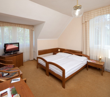 Фото Империал (Чехия, Карловы Вары) 35