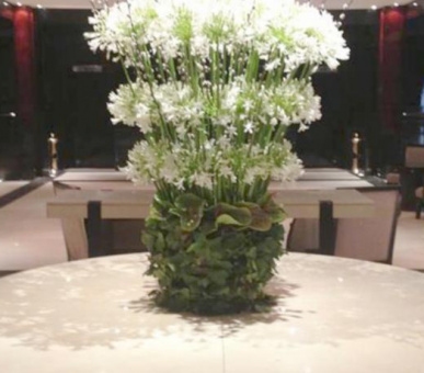 Фото Hyatt Regency  5* (Марокко, Касабланка) 20