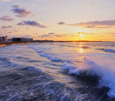 Фото Four Seasons Hotel Casablanca (Марокко, Касабланка) 1