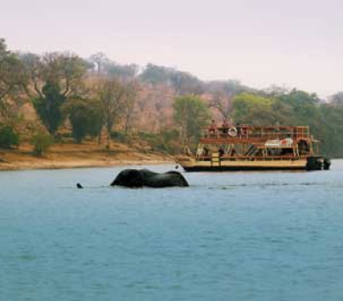 Картинка 1 Фото 1